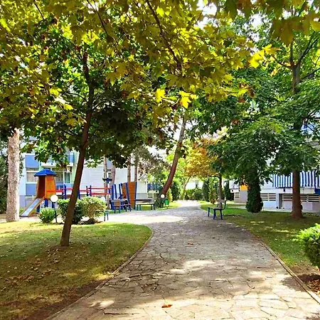 Family Elit1 サニービーチ